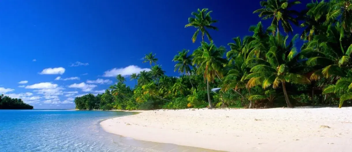Sri Lanka wild life and Beach Tour-1